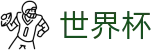 2026美加墨世界杯(中国)官方授权平台 | 2026年世界杯购票抽签流程全攻略